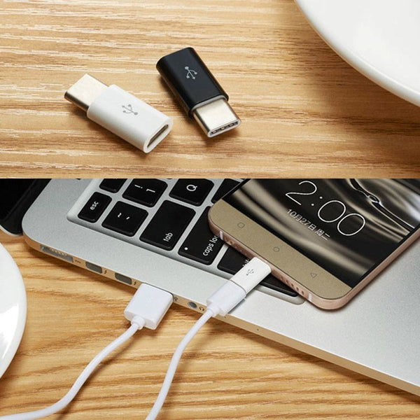 Micro USB Female to Type C - PAYMUK